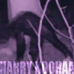Harry HooHaa