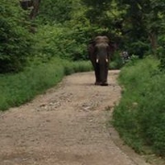 Vettuvelilmalayil Mathews