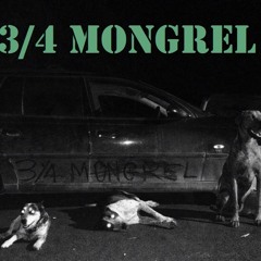 3/4 Mongrel