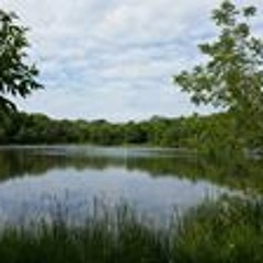 Robert Cody Altenbach