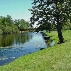 Dank Riverbank