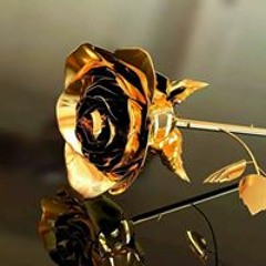 Ahmad Shodiqil Wa'di