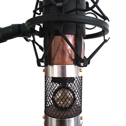 Stream Wildwood Songsmith 12 String Acoustic Guitar (with Pick) by