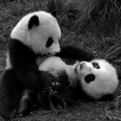 Lemon Jelly - '64 Aka Go