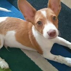 Irene Sanchez Martínez 1