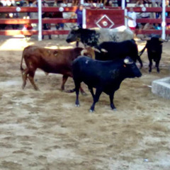 Samuel Vasco De La Peña