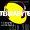 TerraByhte
