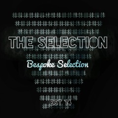 TheSelection