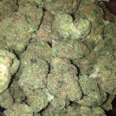 sonnyboy_100