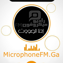 Radio Microphone FM