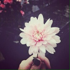 ~zainab~