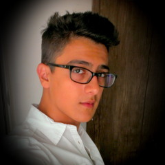 Rodin MB