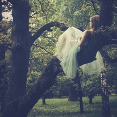 Reem Ahmed