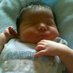 Stephanie Shippentower