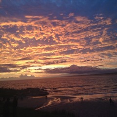 user545354028 dj black