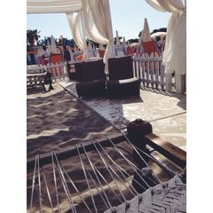 championadelechampion