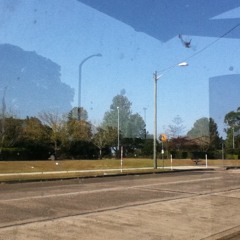 -4 Arrogant Swami ㄣ-