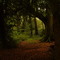 Dryad_Deep
