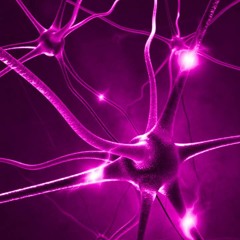 SynapseS