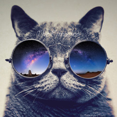 Aleksandar Miletic 3