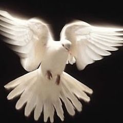 La paz y el amor de Dios