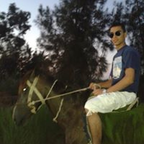 Mahmoud El-nagdy’s avatar