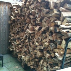 The Real Jonah Lopin