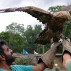 Rakesh Wolfman Suman