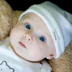 user425186101