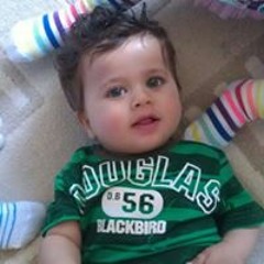 Hassan Yaseen Alshaibani