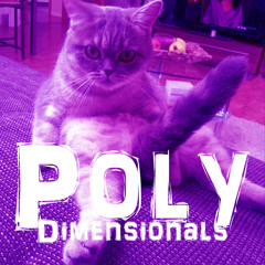 PolyDimensionals