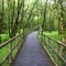 laurens_qv41