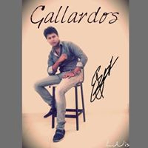 Jorge Luuis Gallardos’s avatar