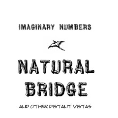 Imaginary Numbers (music)