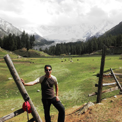 Mohsin Shahzad 15