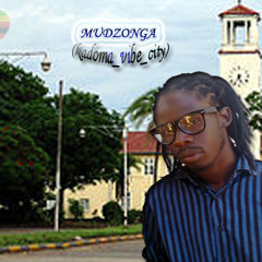 Kadoma_Vibe_City