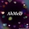 Ahmed Hassan Abo Malek