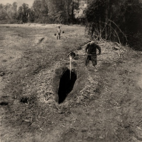 SoundCloud profile picture for @forage