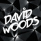David Woods*