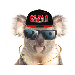 TheSpinningKoalas