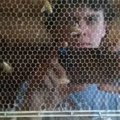 Christopher Nicholson 15