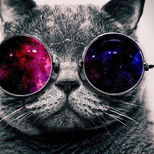 Acid track/set