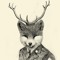 xfox