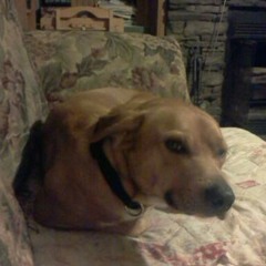 Broken promises for broken hearts. She wants revenge cover, more of my shitty voice yeeeh.