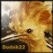 Dudok X