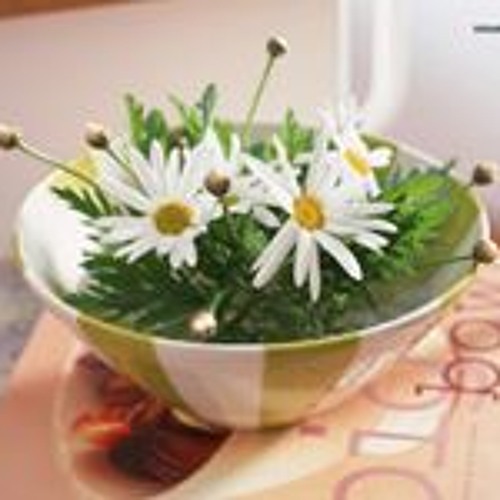 Lien khuc điệu lý: Tet Que Huong - Giang Hong, Ngoc Ai Phuong, Bao Anh