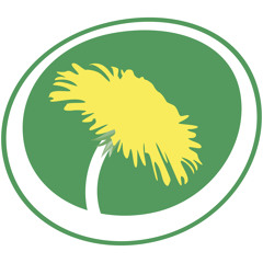 Miljöpartiet de gröna