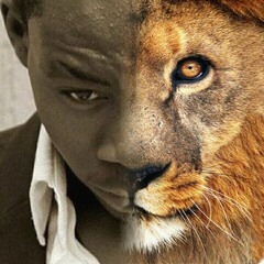 Francklin Lesacrefils