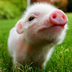 xXmattizXxz - gaming