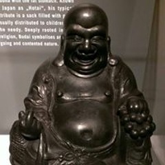 Vollblutsachse Matze